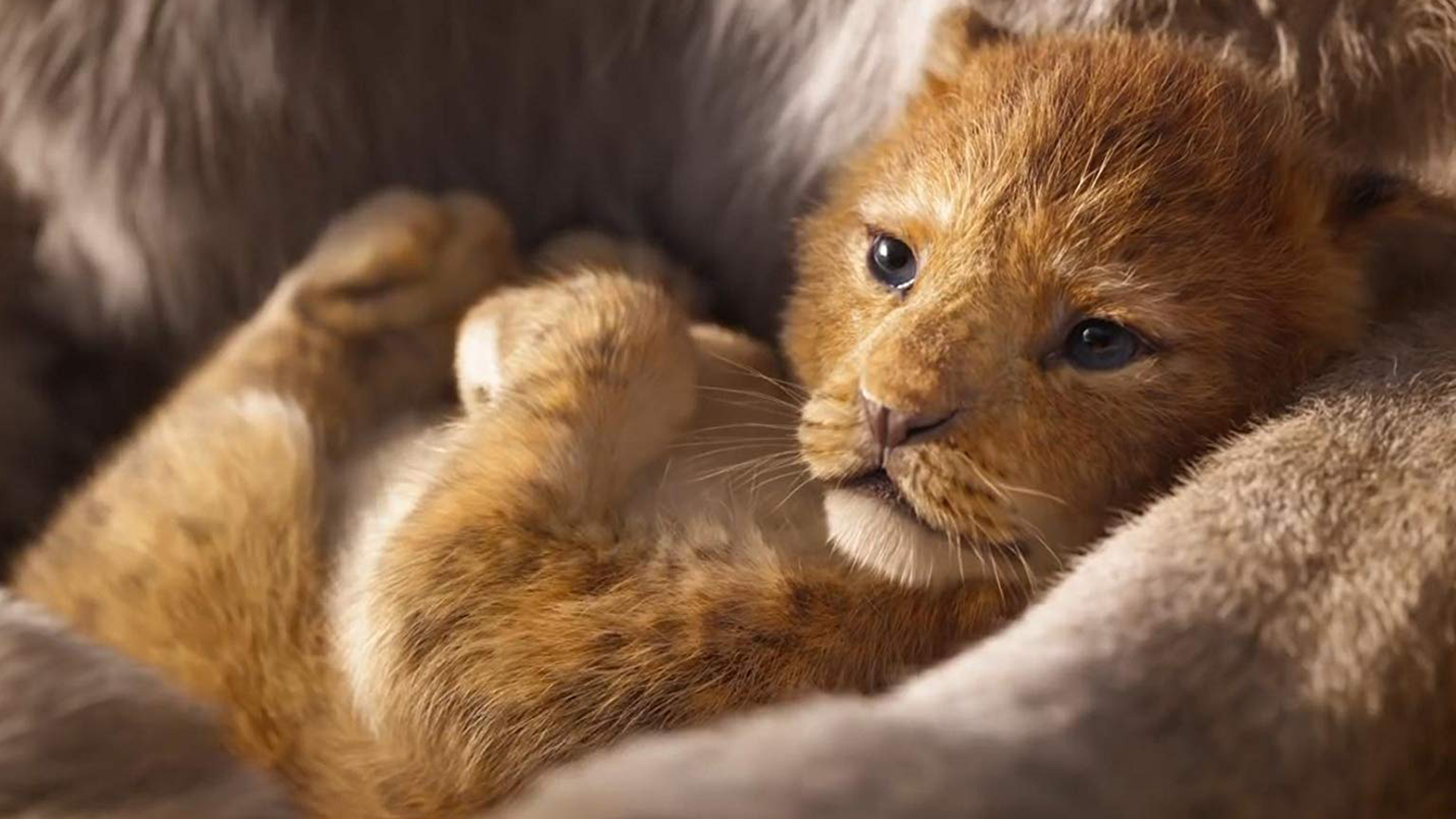 The Lion King movie review: Good live-action xerox of 1994 original